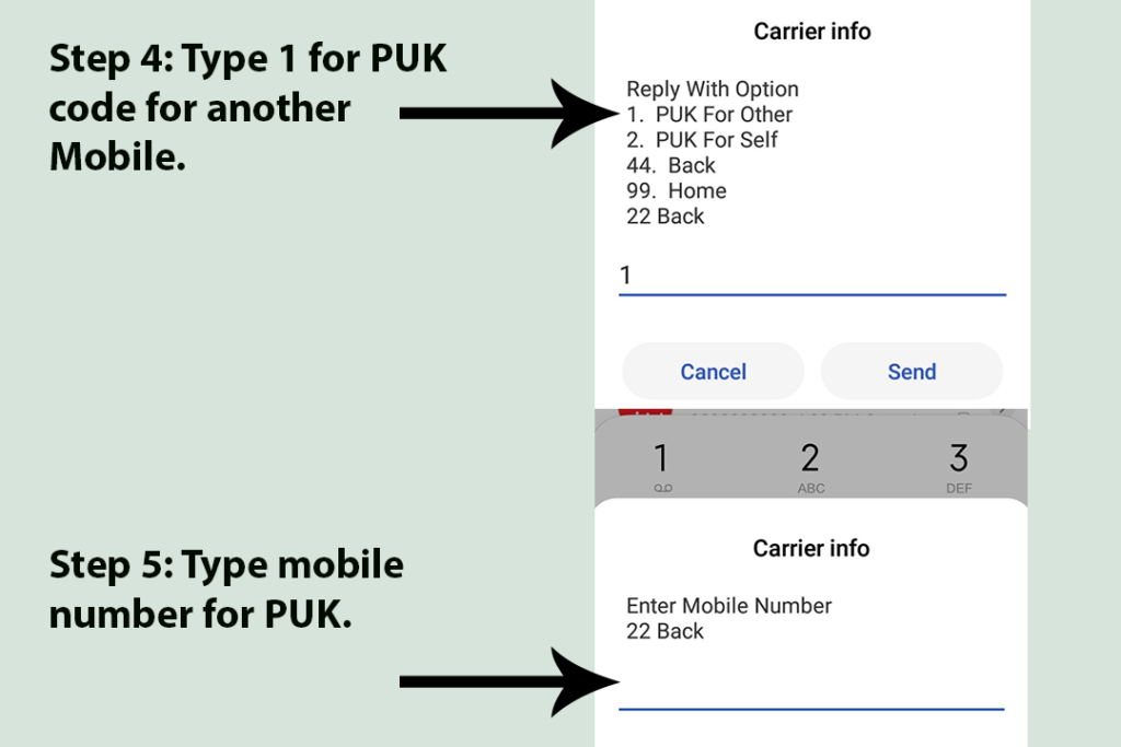 Step-by-Step Instructions to Get Airtel PUK Code Through SMS - wide 5